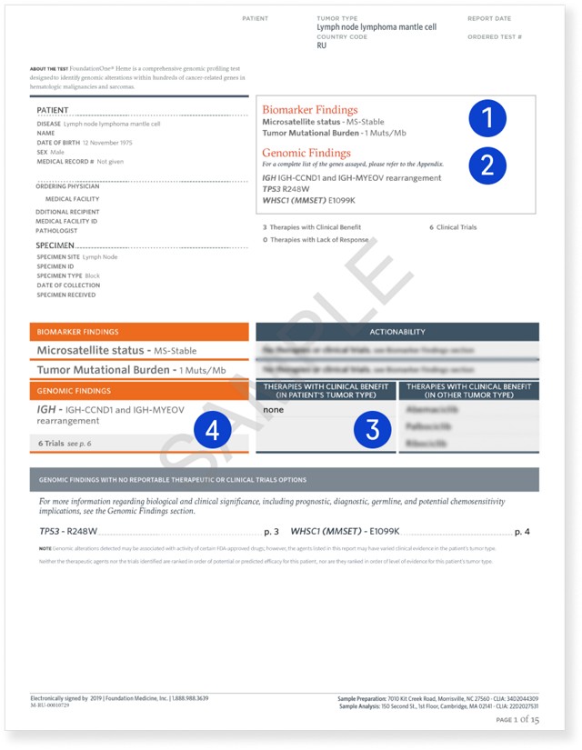 Пример отчета